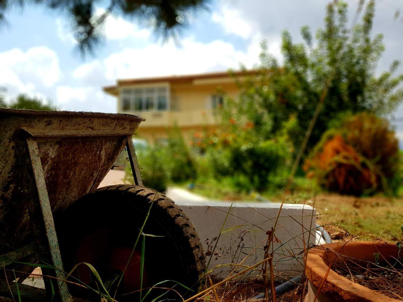 Maison Kronio Lassithi Plateau Marmaketon Ngoại thất bức ảnh